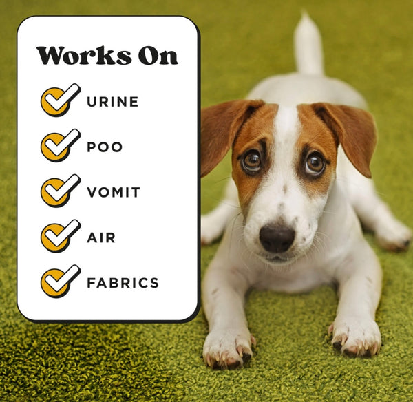 Pet-Pourri Spray