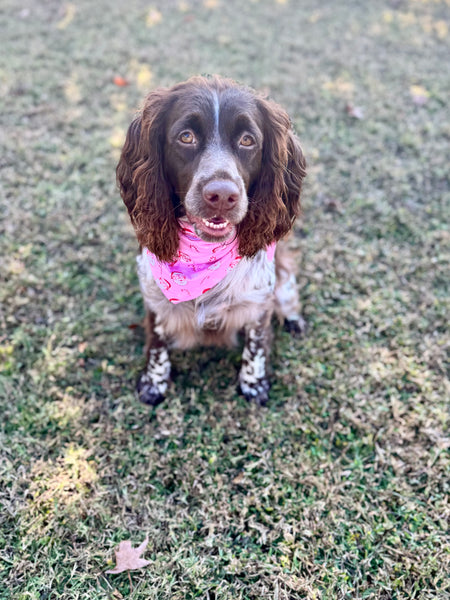 Festive Doggie Bandanas