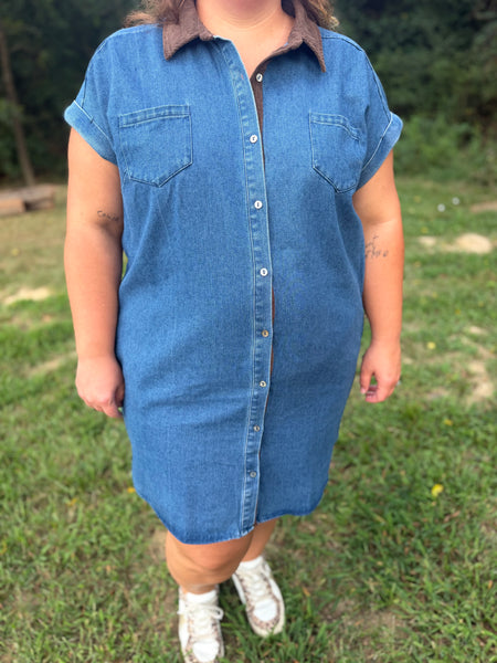 Blue Jean Baby Dress
