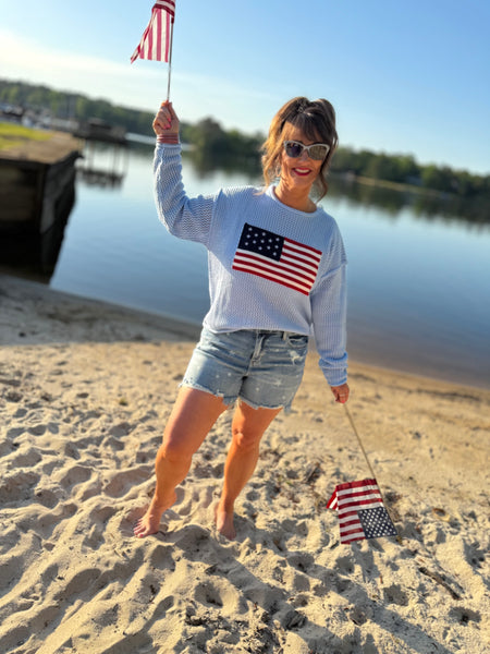 Land Of The Free Knit Sweater
