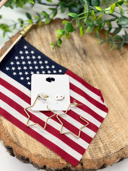 Star Of The Show Earrings